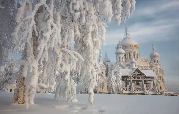 Картинка зима, снег, деревья, пейзаж, дерево, храм, монастырь, Белогорье