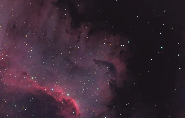 Картинка туманность, Лебедь, Северная Америка, в созвездии, эмиссионная, NGC 7000