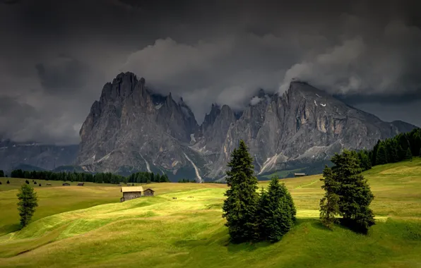 Trentino-Alto Adige, Castelrotto, Bulla