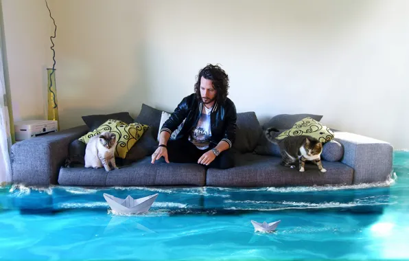Картинка вода, кошки, комната, диван, человек