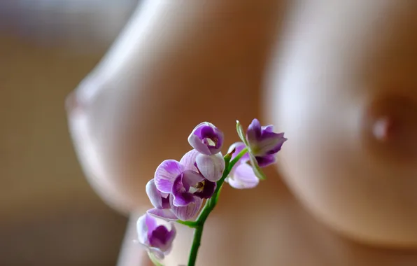 Girl, sexy, flower, nipples, boobs, beautiful, pretty, nude