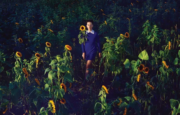 Картинка поле, солнце, подсолнухи, платье, Katy Perry