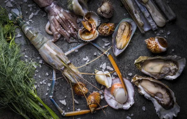 Кальмар, креветки, морепродукты, моллюски, устрицы