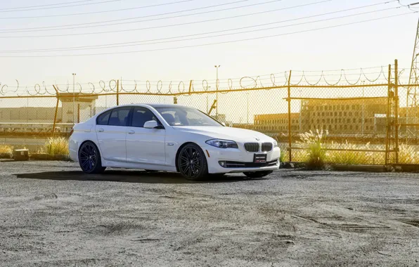 Картинка BMW, 535i, F10. white, XO Wheels