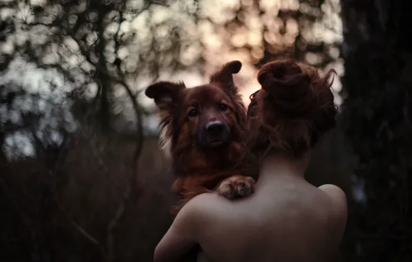 Girl, love, forest, dog, sundown, bokeh, hair, back