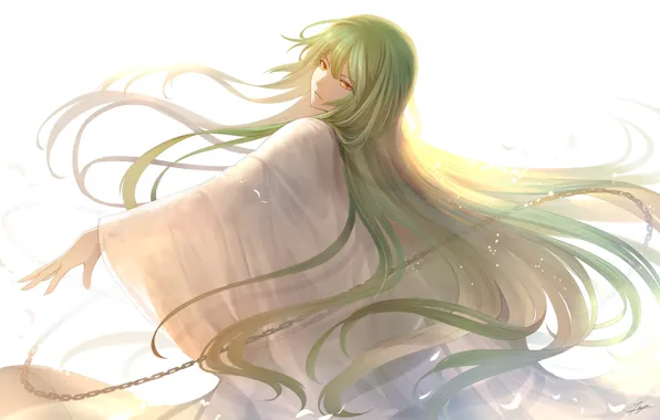 Взгляд, аниме, арт, Fate Stay Night, персонаж, зелёные волосы, fate/grand order