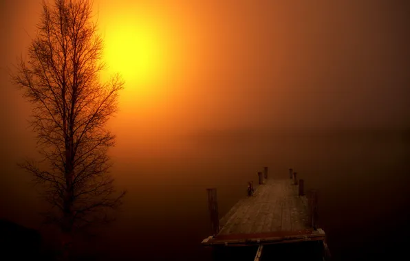 Картинка пейзаж, ночь, мост, туман, дерево
