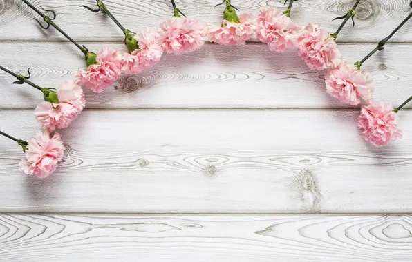 Цветы, розовые, wood, pink, гвоздика, flowers
