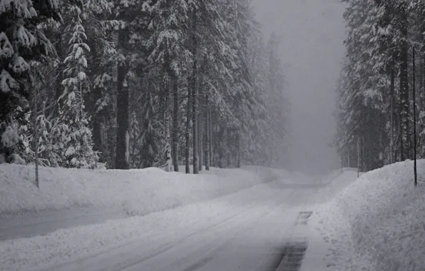 Картинка дорога, снег, Зима, ельник