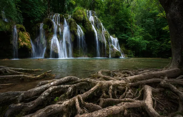Картинка корни, река, дерево, Франция, водопад, каскад, France, Cascade des Tufs