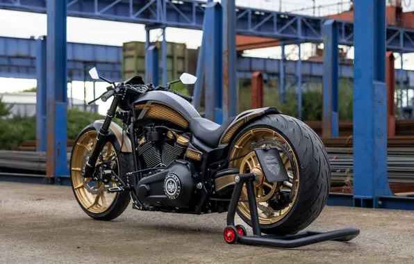 Harley-Davidson, Rear, Вид Сбоку, Customized, Softail Breakout, Thunderbike, Steel Horse, Custombikes