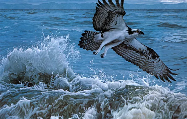 Море, волны, вода, полет, брызги, шторм, птица, рисунок