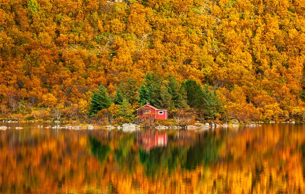Картинка осень, лес, природа, озеро, отражение, домик