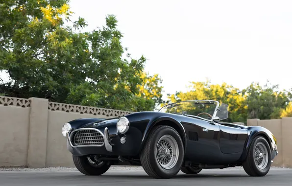 Черный, Shelby, ретро автомобили, 1963, Shelby Cobra, единственный экземпляр, Cobra 289, спортивные автомобили