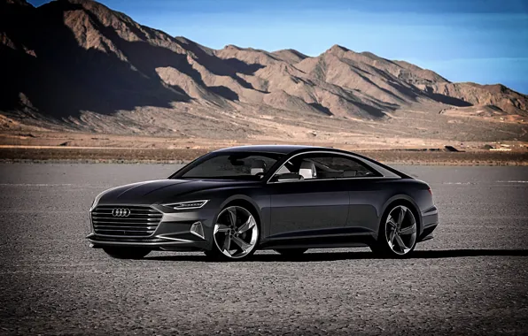 Audi, ауди, 2015, Prologue, пролоджи