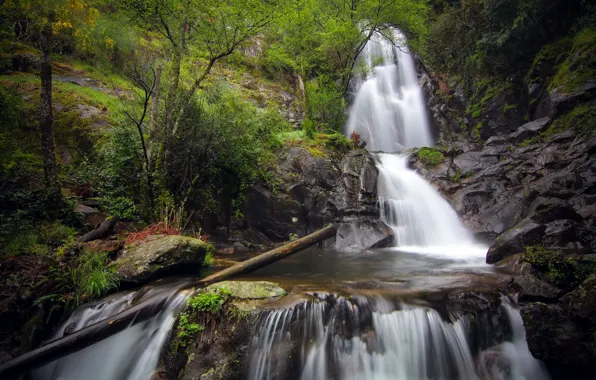 Картинка лес, деревья, камни, скалы, водопад, речка