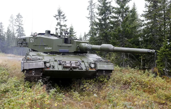 Картинка лес, трава, танк, боевой, бронетехника, Leopard 2 A4