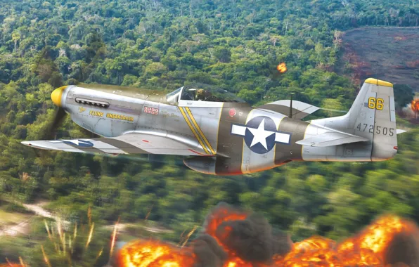 Mustang, ВВС США, North American, дальнего радиуса действия, американский одноместный истребитель, P-51D-20