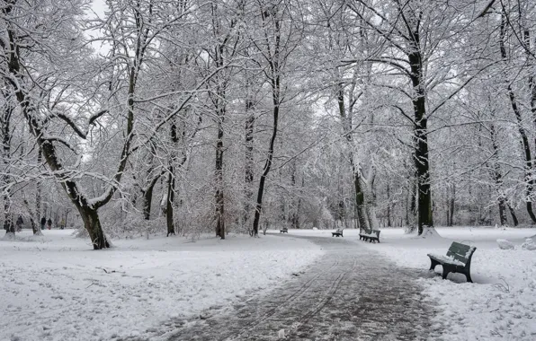 Картинка зима, парк, скамья