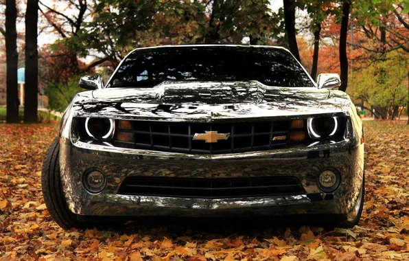 Картинка осень, листья, Chevrolet, зеркльный