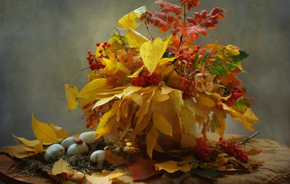Картинка осень, листья, грибы, букет, натюрморт, рябина, шампиньоны