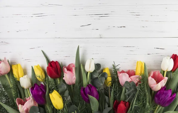 Цветы, colorful, тюльпаны, wood, flowers, beautiful, tulips, spring
