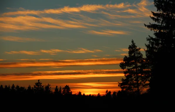 Небо, деревья, закат, Finland