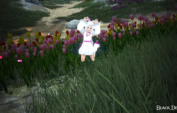 Милашка, Black desert, Шай