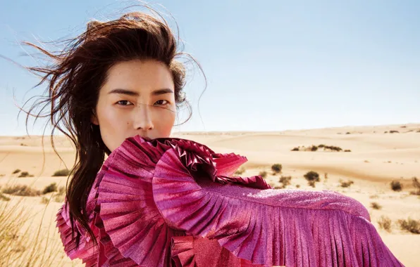Модель, брюнетка, азиатка, Liu Wen