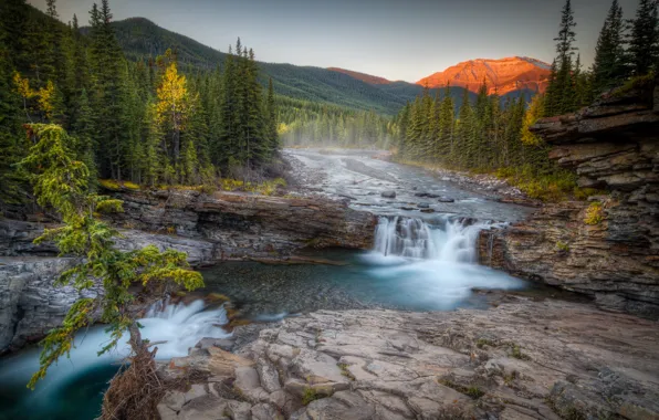 Картинка лес, горы, река, водопад, Канада, Альберта, Alberta, Canada