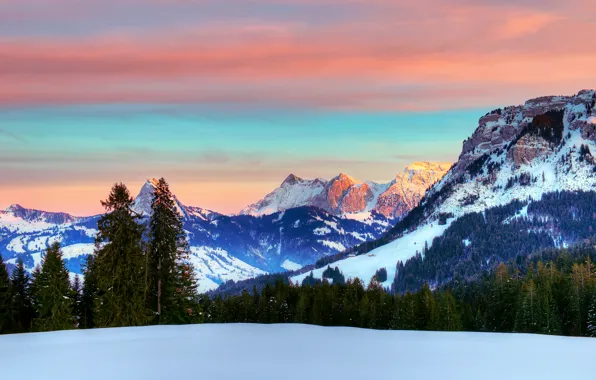 Зима, лес, небо, облака, снег, горы, Швейцария, Альпы