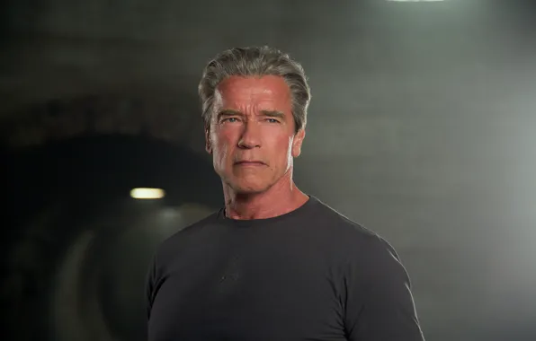 Обои Арнольд Шварценеггер, Terminator, Arnold Schwarzenegger.