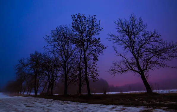 Картинка зима, снег, деревья, вечер