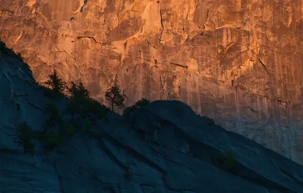 Картинка деревья, закат, горы, скалы