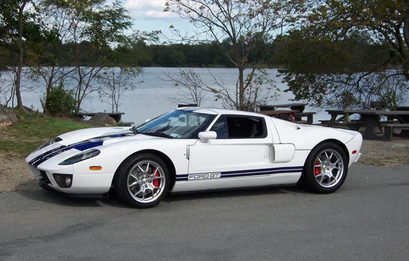 Ford, Blue, White, lake, Stripes, gt