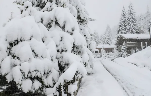 Природа, Снег, Лес, Nature, Snow, Forest, Снежные Дома, Snowy Houses