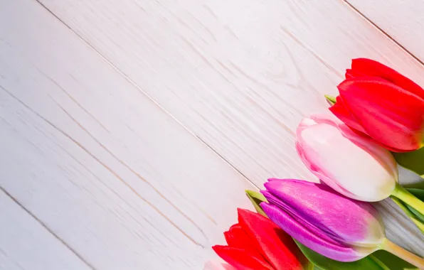 Цветы, colorful, тюльпаны, red, white, wood, flowers, tulips