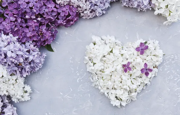 Картинка цветы, сердце, love, white, heart, flowers, сирень, romantic
