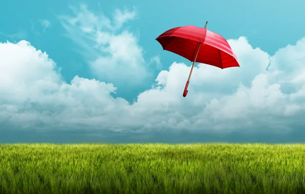 Картинка поле, небо, красный, зонтик, зонт