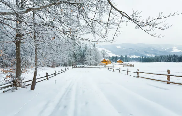 Картинка зима, дорога, лес, снег, деревья, горы, ветки, природа