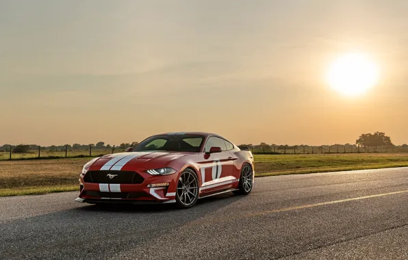 Car, Mustang, Ford, sun, Hennessey, Hennessey Ford Mustang Heritage Edition