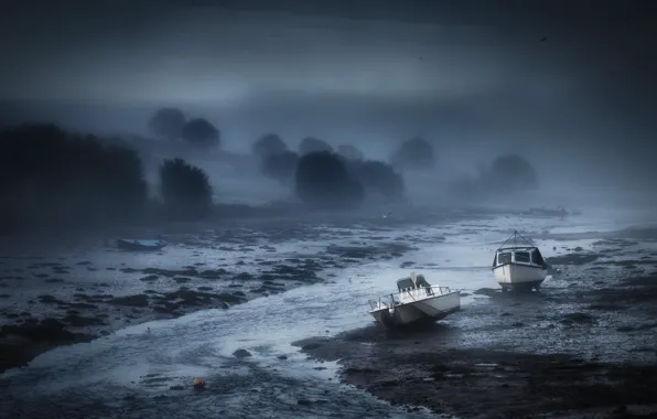 Картинка ночь, туман, река, лодки