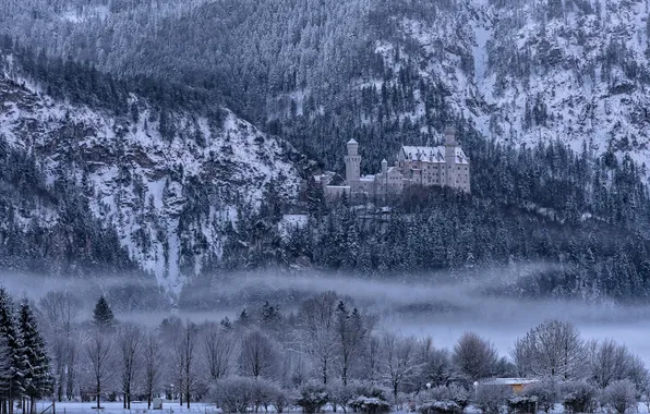 Зима, снег, деревья, горы, туман, Германия, Бавария, замок Нойшванштайн