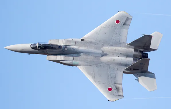 Картинка оружие, самолёт, F-15J