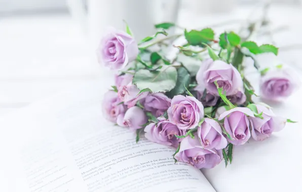 Цветы, розы, букет, фиолетовые, книга