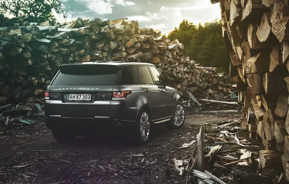 Картинка Luxury, Car, Diesel, English, Land Rover, Range Rover, Forrest, Sport