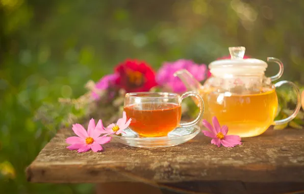 Картинка цветы, чай, чайник, напиток, космея