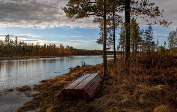 Осень, лес, небо, облака, деревья, ветки, река, берег