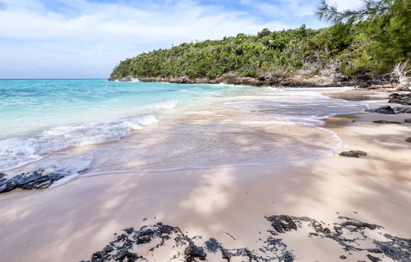 Картинка песок, море, природа, заросли, берег, The Bahamas, North Cat Island