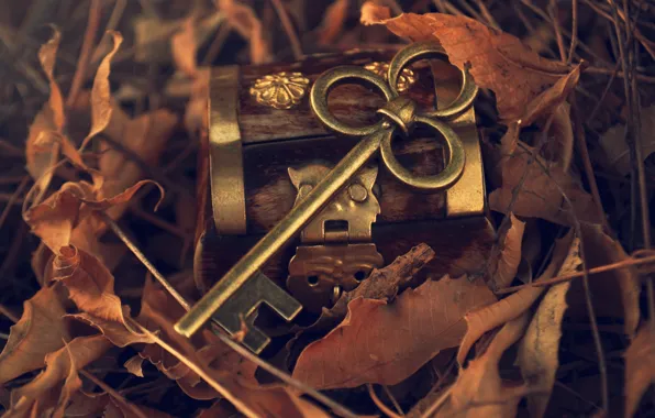 Картинка осень, листья, металл, ключ, шкатулка, опавшие